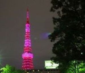 ピンクの東京タワー おおわだぐみはブログだぜ